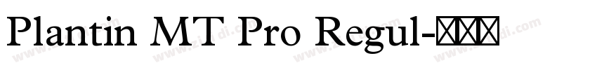 Plantin MT Pro Regul字体转换